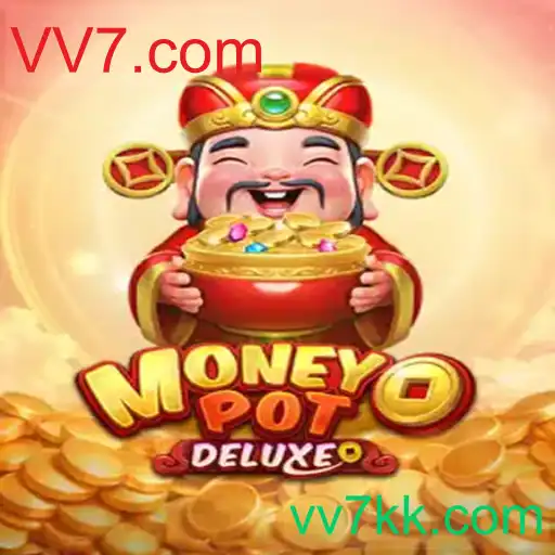 MoneyPotDELUXE